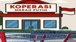 Misteri Ratusan Miliar Proyek Rak KDMP : Kantor Fiktif, Gudang Militer, dan Aroma Impor Murahan