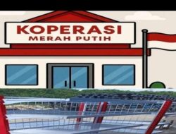 Misteri Ratusan Miliar Proyek Rak KDMP : Kantor Fiktif, Gudang Militer, dan Aroma Impor Murahan