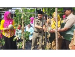 KEGIATAN PANEN RAYA DAN PENANAMAN DI PULAU TIDUNG KECIL : Wujud Ketahanan PANGAN Kepulauan Seribu