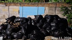Penumpukan Sampah Hampir Sebulan di Kelurahan Cengkareng Barat Dikeluhkan Warga, Koordinasi Pengurus Lingkungan Dipertanyakan