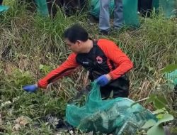 Bupati Indramayu lucky Hakim Pimpin Aksi Bersih Sampah yang menumpuk Di Sungai