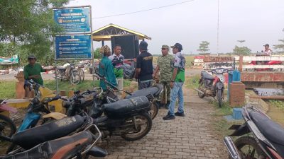 Babinsa Cikedunglor Kec trisi  Serma  Solihin  Kawal Panen Raya Demi Ketahanan Pangan