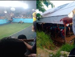 Saat Sorak Judi Sabung Ayam di Candirengo Mengalahkan Wibawa Penegak Hukum Kebumen