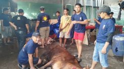 Jamaah Mushola Roudotul Jannah Tunjukkan Kemandirian Total dalam Pemotongan Hewan Kurban