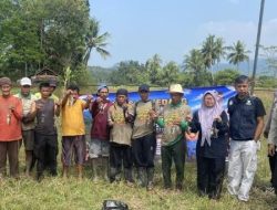 Satreskrim Polres Sumedang Dukung Ketahanan Pangan Melalui Lomba Hama Tikus di Buahdua 