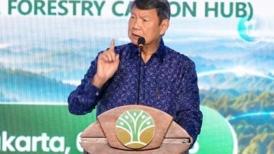 Utusan Khusus Presiden Hashim : Perdagangan Karbon Kehutanan Program Pemerintah Paling Cepat Direalisasikan