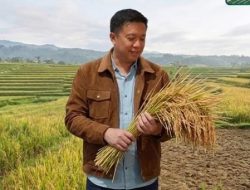 Peran Strategis Padigital Dalam Ketahanan Moneter Indonesia