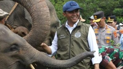 Kebijakan Menhut Dinilai Perkuat Posisi Indonesia dalam Konservasi Gajah Dunia