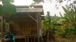 Diduga Ada Transaksi Sawah di Kawasan PT. Legon Pari Mustika, Warga Minta Klarifikasi Pihak Terkait