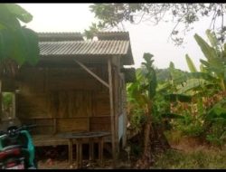 Diduga Ada Transaksi Sawah di Kawasan PT. Legon Pari Mustika, Warga Minta Klarifikasi Pihak Terkait