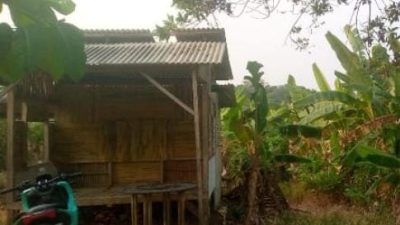 Diduga Ada Transaksi Sawah di Kawasan PT. Legon Pari Mustika, Warga Minta Klarifikasi Pihak Terkait