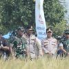 Wakapolda Banten Dorong Sinergi Ketahanan Pangan Melalui Panen Raya dan Gerakan Tanam Jagung Hibrida PS-08