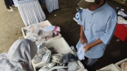 Produksi Perikanan Kabupaten Cirebon Melonjak di Akhir Tahun, Budi Daya Jadi Penopang Utama