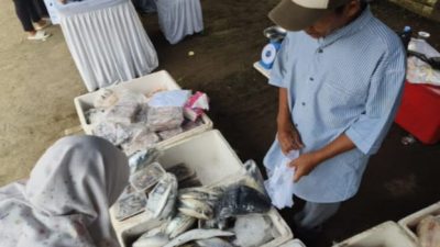 Produksi Perikanan Kabupaten Cirebon Melonjak di Akhir Tahun, Budi Daya Jadi Penopang Utama