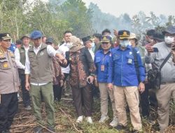 Tinjau Guntung Damar, Menhut Raja Antoni : Pelaku Karhutla Ditindak Tanpa Pandang Bulu