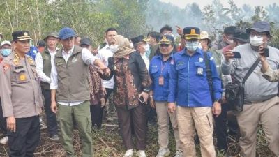 Tinjau Guntung Damar, Menhut Raja Antoni : Pelaku Karhutla Ditindak Tanpa Pandang Bulu