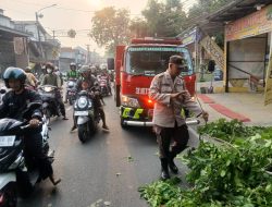 Respon Cepat, Personel Polsek Rangkasbitung dan Petugas Damkar Lebak Evakuasi Pohon Tumbang yang Menutup Jalan