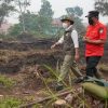 Menhut Raja Antoni Pantau Langsung Karhutla Kubu Raya Kalbar, Pendinginan Dimassifkan
