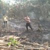 Polsek Curugbitung Bersama Muspika dan Damkar Padamkan Kebakaran Kebun Bambu Seluas 3 Hektare