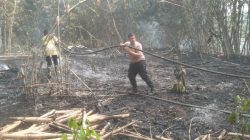 Polsek Curugbitung Bersama Muspika dan Damkar Padamkan Kebakaran Kebun Bambu Seluas 3 Hektare