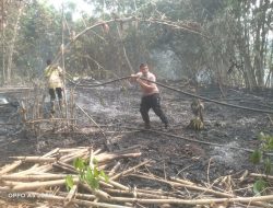 Polsek Curugbitung Bersama Muspika dan Damkar Padamkan Kebakaran Kebun Bambu Seluas 3 Hektare