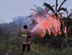Polsek Cibadak Bersama Damkar Padamkan Kebakaran Lahan di Belakang BTN Mandala