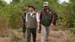Jaga Gajah Padang Sugihan dari Karhutla, Menhut Raja Antoni Pertebal Pasukan Darat
