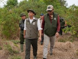 Jaga Gajah Padang Sugihan dari Karhutla, Menhut Raja Antoni Pertebal Pasukan Darat