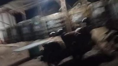 Polda Banten Didorong Bertindak, Ketum GWI Soal Solar di Mancak: Jangan Hanya Berhenti di Pekerja Lapangan !