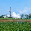 Sumur Migas Di Pagedangan Indramayu, Pertamina Mengeluarkan Asap Putih