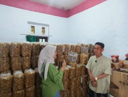 Dari Talun, Sumpia Udang Jadi Penggerak Ekonomi Warga