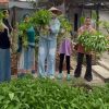 Lurah Pinang Kota Tangerang, Bersama Kelompok Tani Wanita (KWT) Lakukan Panen Diwilayah Rt/Rw 06/04 