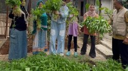 Lurah Pinang Kota Tangerang, Bersama Kelompok Tani Wanita (KWT) Lakukan Panen Diwilayah Rt/Rw 06/04 