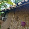 Miris! Rumah Reyot Berbahan Bambu di Desa Hambaro, Pasangan Suami Istri Berharap Bantuan Pemerintah
