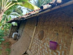 Miris! Rumah Reyot Berbahan Bambu di Desa Hambaro, Pasangan Suami Istri Berharap Bantuan Pemerintah
