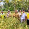 Panen Padi Perdana MT2, Petani Desa Sudimampir, Indramayu Optimistis Hasil Capai 9,4 Ton Per – Hektare