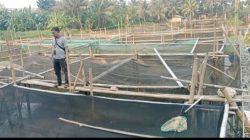 Peternak Ikan Terancam Bangkrut Kerugian Puluhan Juta Diduga Akibat Dampak Dari Bedolan Ciujung Pamarayan.