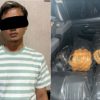 Satreskrim Polres Lebak Amankan 32.000 Benih Bening Lobster Diduga Tanpa Izin