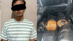Satreskrim Polres Lebak Amankan 32.000 Benih Bening Lobster Diduga Tanpa Izin