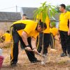 Kapolresta Cirebon Pimpin Aksi Green Policing, Tanam 30 Pohon Mangga dan Ajak Personel Peduli Lingkungan