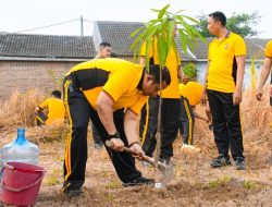 Kapolresta Cirebon Pimpin Aksi Green Policing, Tanam 30 Pohon Mangga dan Ajak Personel Peduli Lingkungan