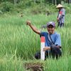 Jaga Keamanan Aset Tanah di Tabanan, Kantah Imbau Warga Pasang Patok Tanda Batas